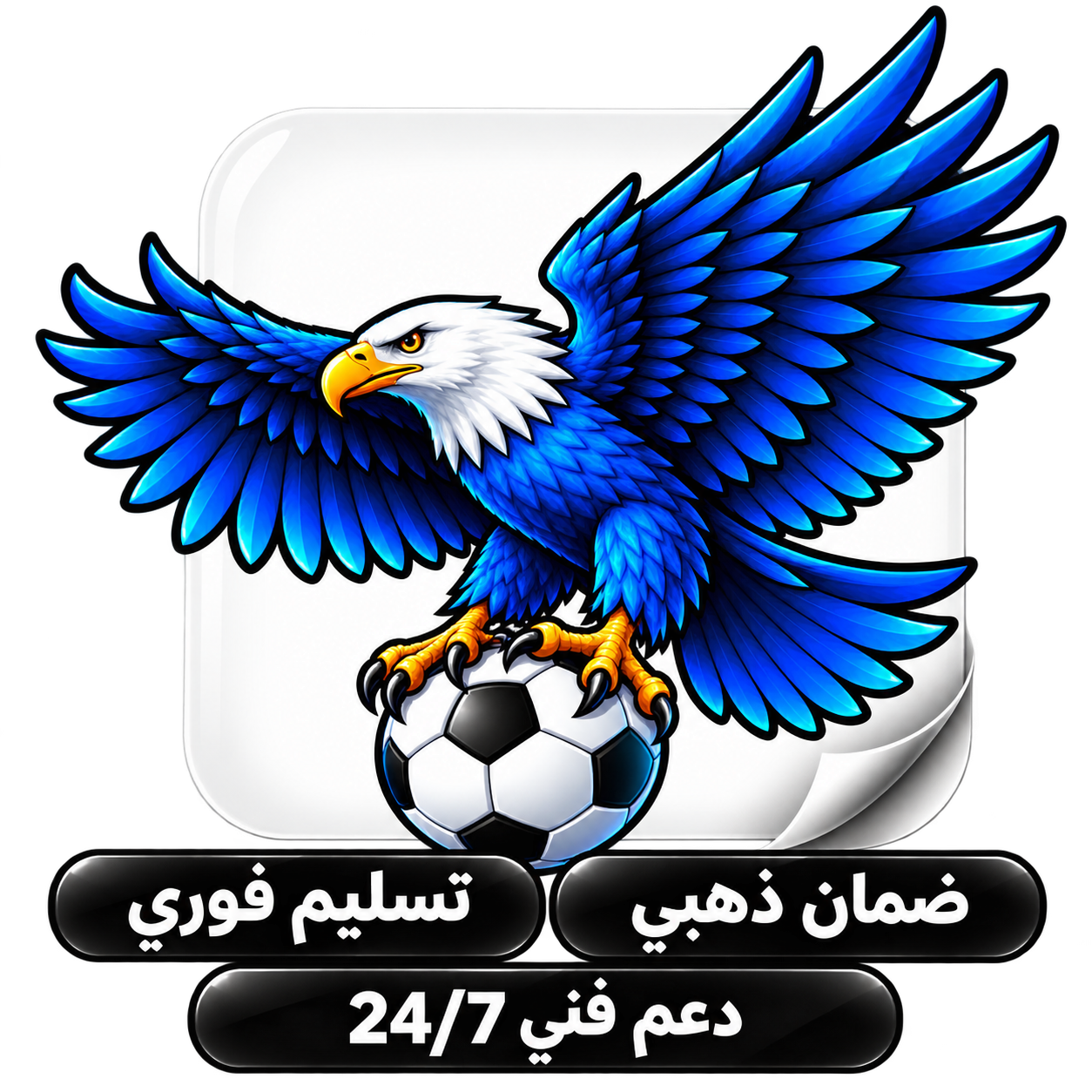 صورة